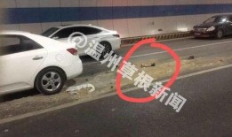 广东车祸最新爆料新闻,多车相撞，现场惨烈，伤亡情况引关注